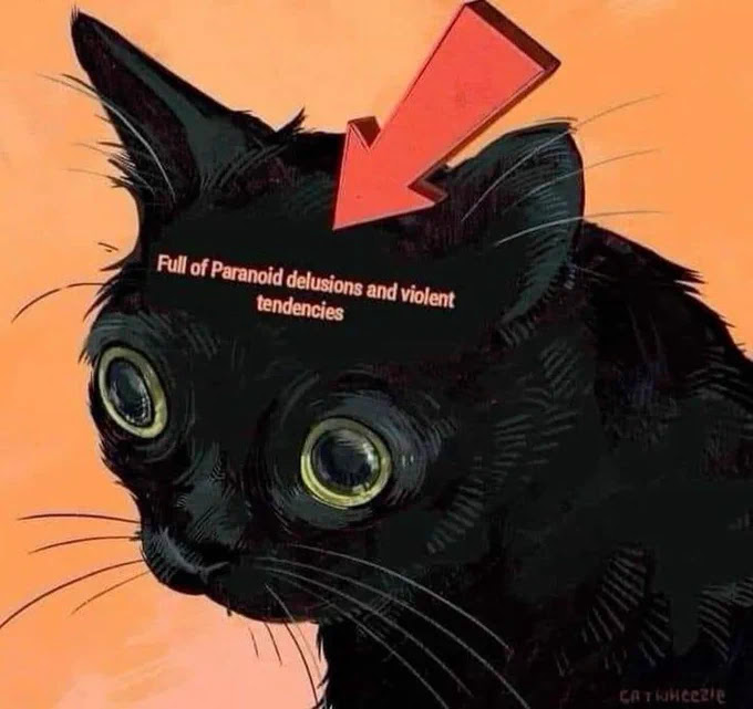 admin's avatar